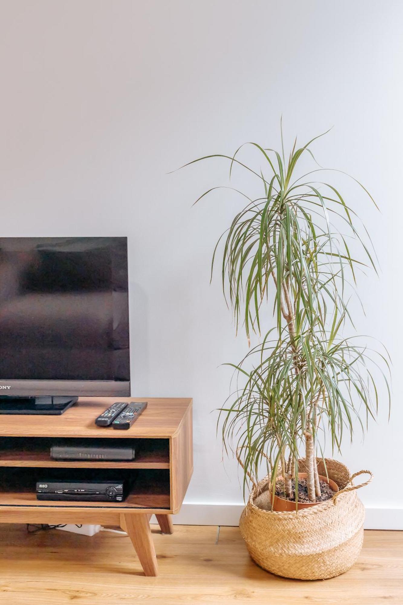 Apartamento Aquilla's Alfama By Mycelia *